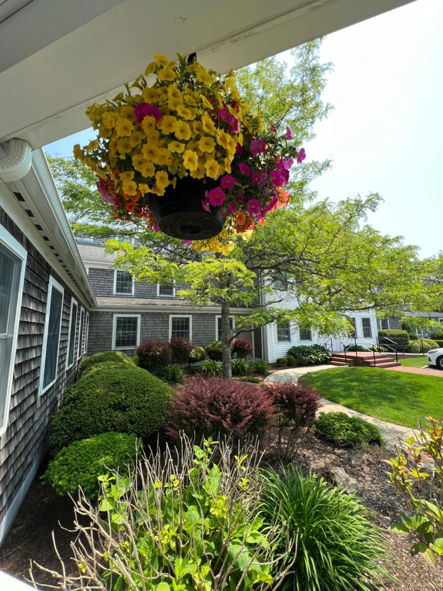 Chatham Wayside Inn Exterior foto